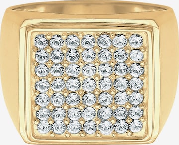 ELLI PREMIUM Ring in Goud