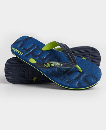 Superdry T-Bar Sandals in Blue