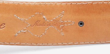 Reptile's House Belt in M in Mixed colors