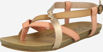 Blowfish Malibu T-bar sandals in Beige: front