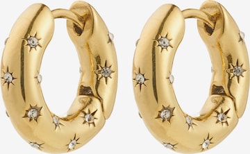 auksinė Pilgrim Auskarai 'Nevaeh': priekis