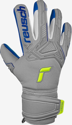 REUSCH Athletic Gloves 'Attrakt' in Grey