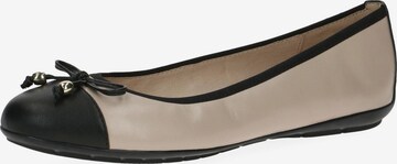 CAPRICE Ballerina in Beige: voorkant