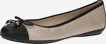 CAPRICE Ballerina in Beige: predná strana