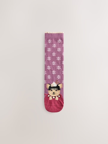 Next Socken in Beige