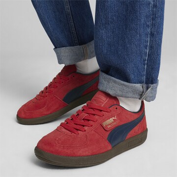 PUMA Sneakers laag 'Palermo' in Rood