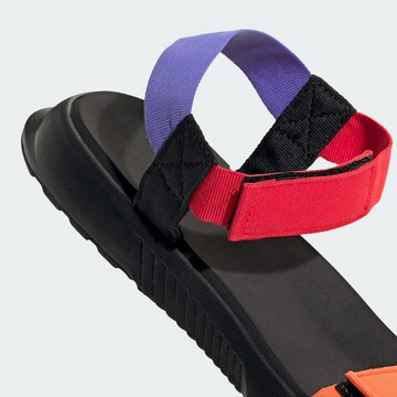 ADIDAS TERREX Sandal 'Hydroterra' in Orange