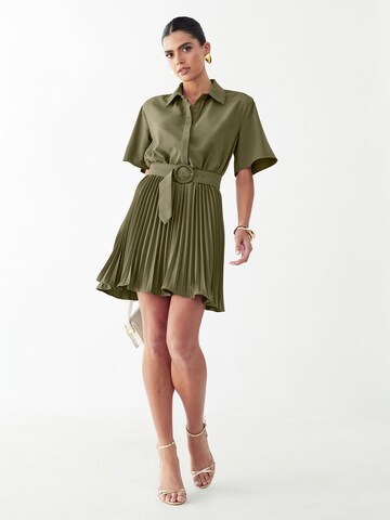 Willa Рокля тип риза 'Mckenzi' в зелено
