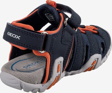 GEOX Open schoenen 'Kraze' in Blauw
