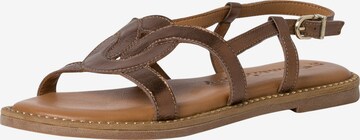 TAMARIS Sandalen met riem in Bruin: voorkant