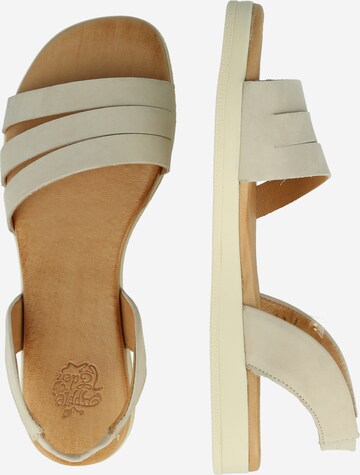 Apple of Eden - Sandalias con hebilla 'Ivy' en blanco