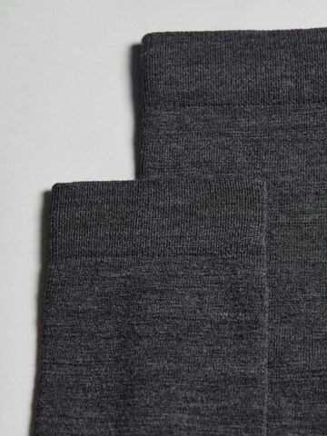 CALZEDONIA Socks in Grey