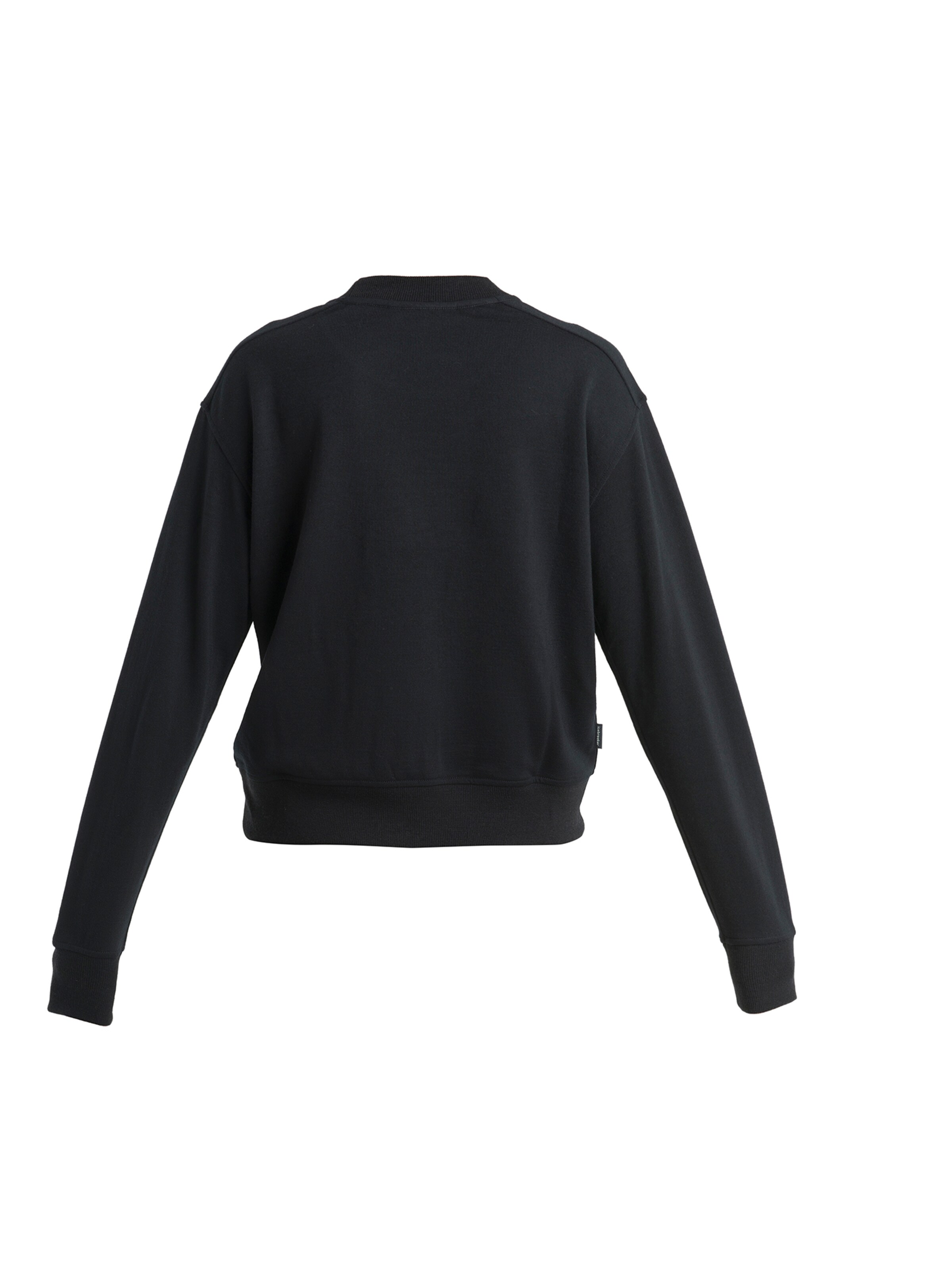 ICEBREAKER Sweatshirt 'Crush II' in Black