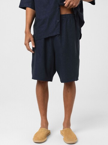 Regular Pantalon Dandalo en bleu : devant