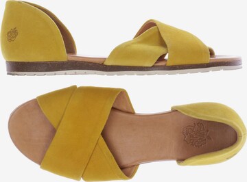 Apple of Eden Sandals & High-Heeled Sandals in 37 in Yellow: front