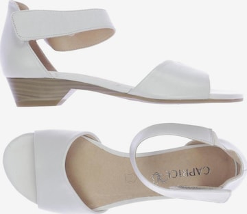 CAPRICE Sandals & High-Heeled Sandals in 37 in White: front