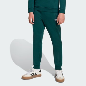ADIDAS ORIGINALS Tapered Παντελόνι 'Trefoil Essentials' σε πράσινο: μπροστά