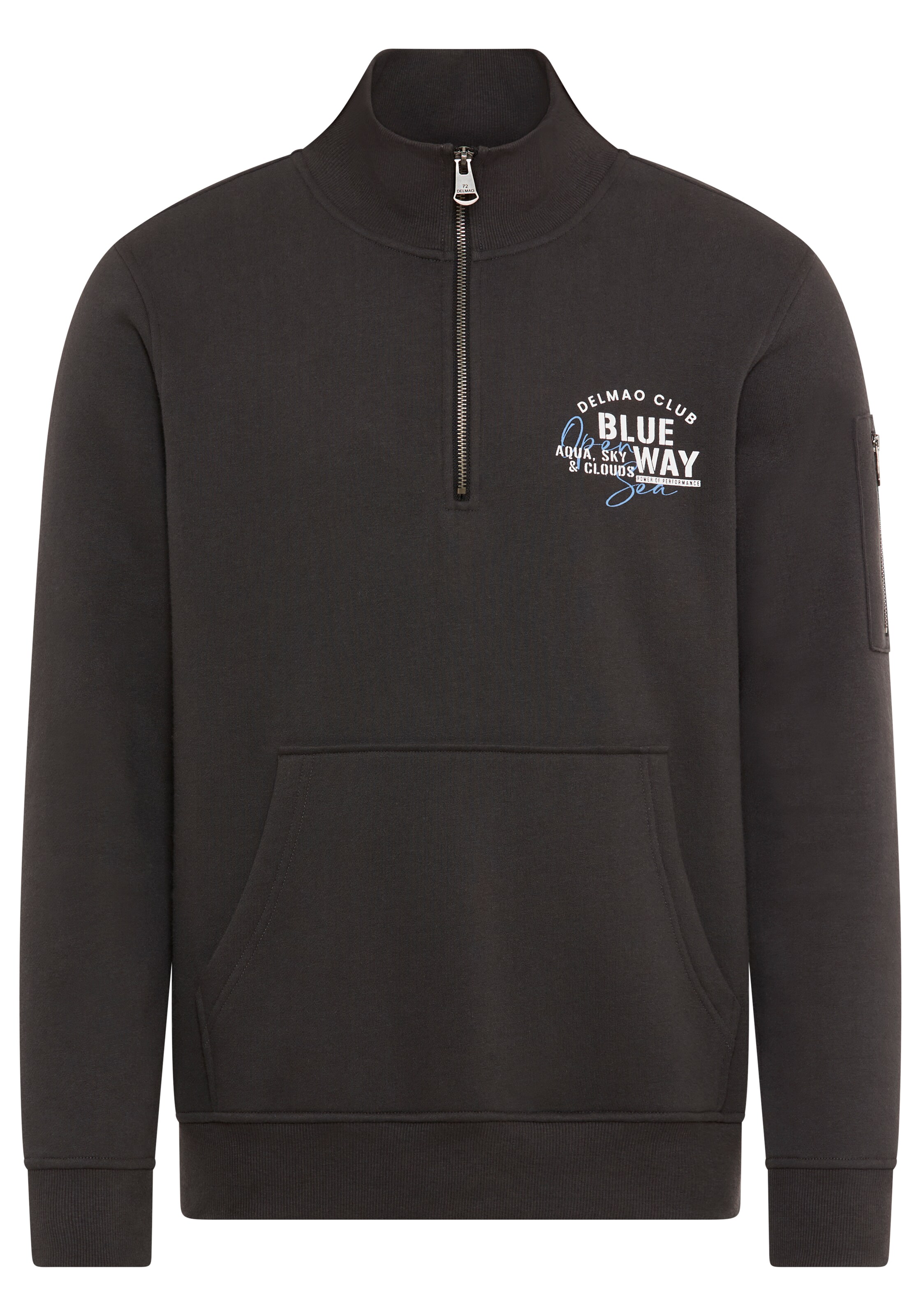 DELMAO Sweatshirt in Grau: Vorderseite