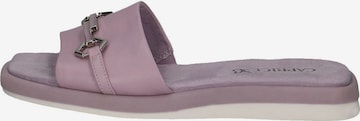 Mule CAPRICE en violet