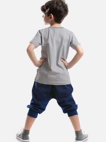 Denokids Set 'Dino Lui' in Grau