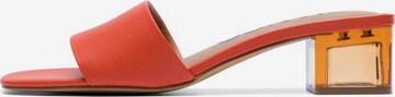 Bianco Mules 'BIAFOXY' in Orange: front