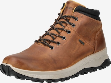 Bottes à lacets IGI&CO en marron : devant