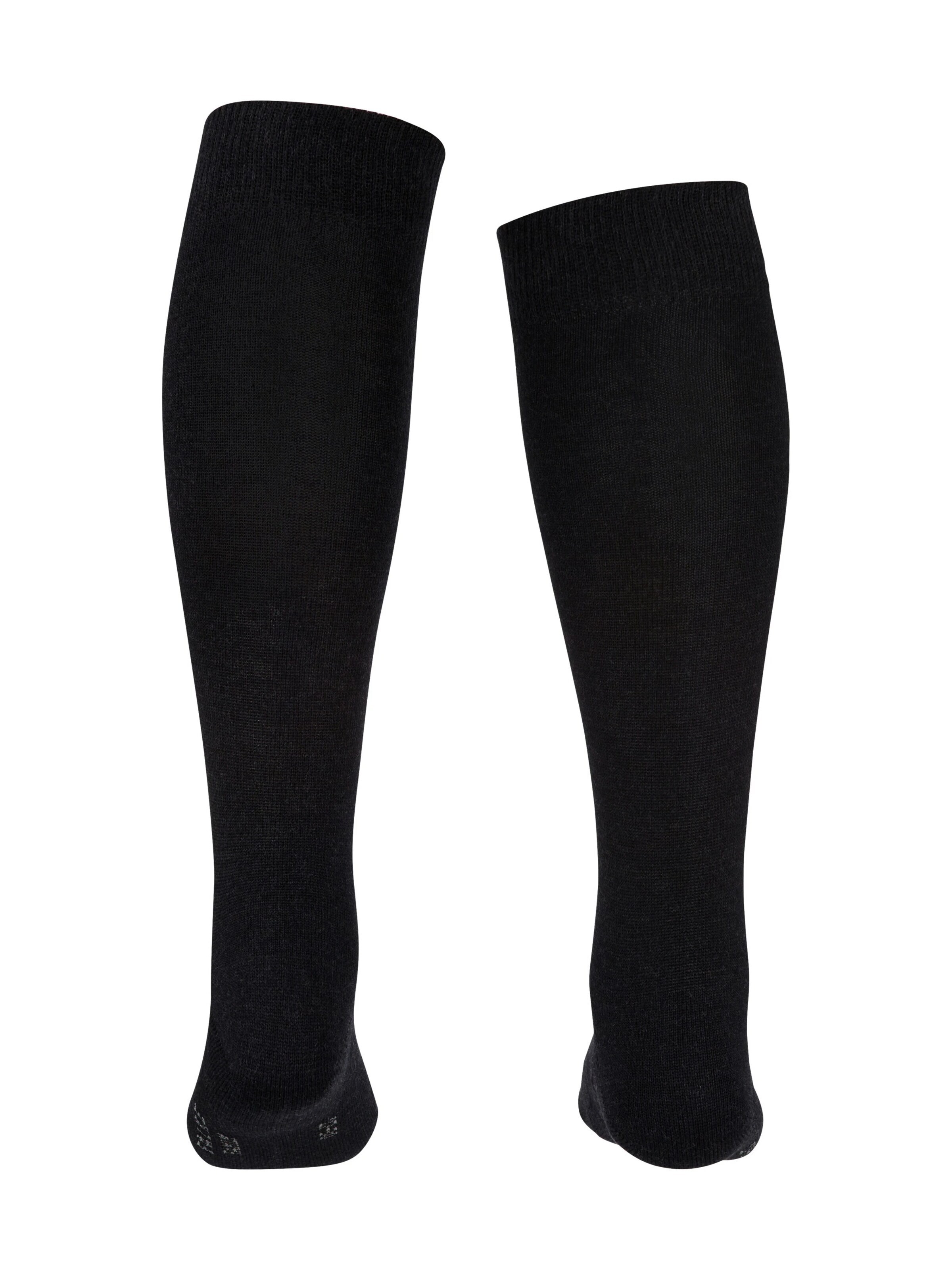 FALKE Socks 'Family' in Grey
