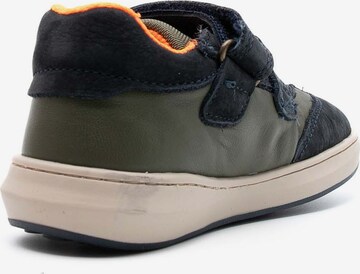 PRIMIGI Sneaker 'Paf 49000' in Grün