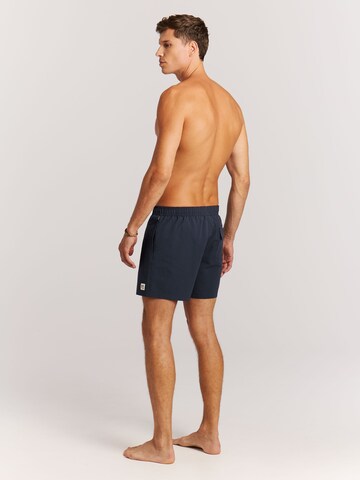 PROTEST Swimming shorts 'PRTAgden' in Blue