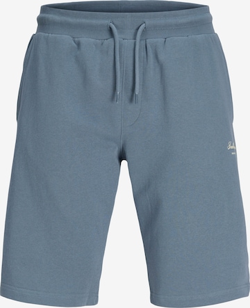 regular Pantaloni 'JPSTGORDON' di Jack & Jones Plus in blu: frontale