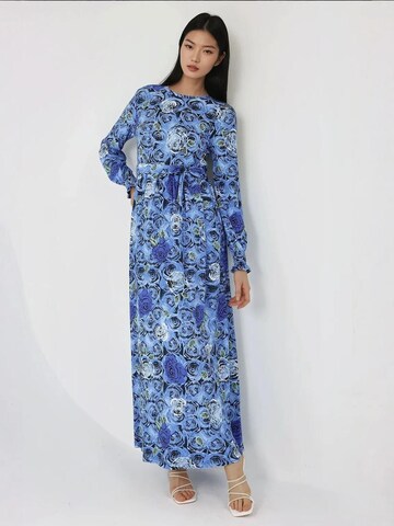 Hiccup Dress in Blue