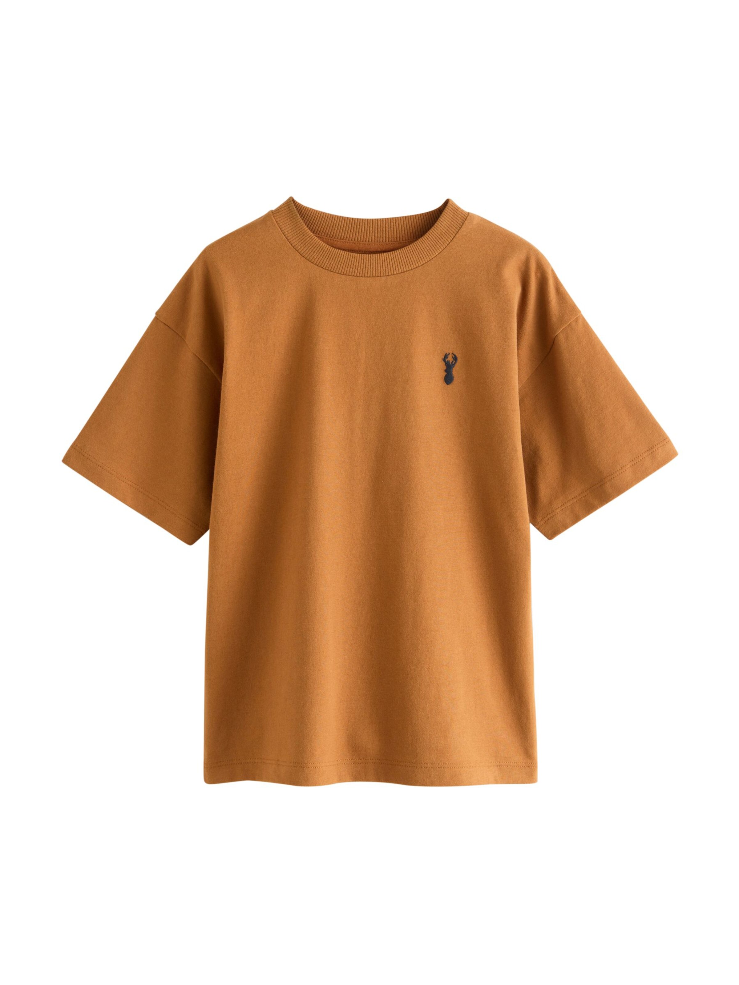 Next Shirt in Brown