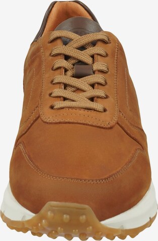 CAMEL ACTIVE Sneakers in Brown