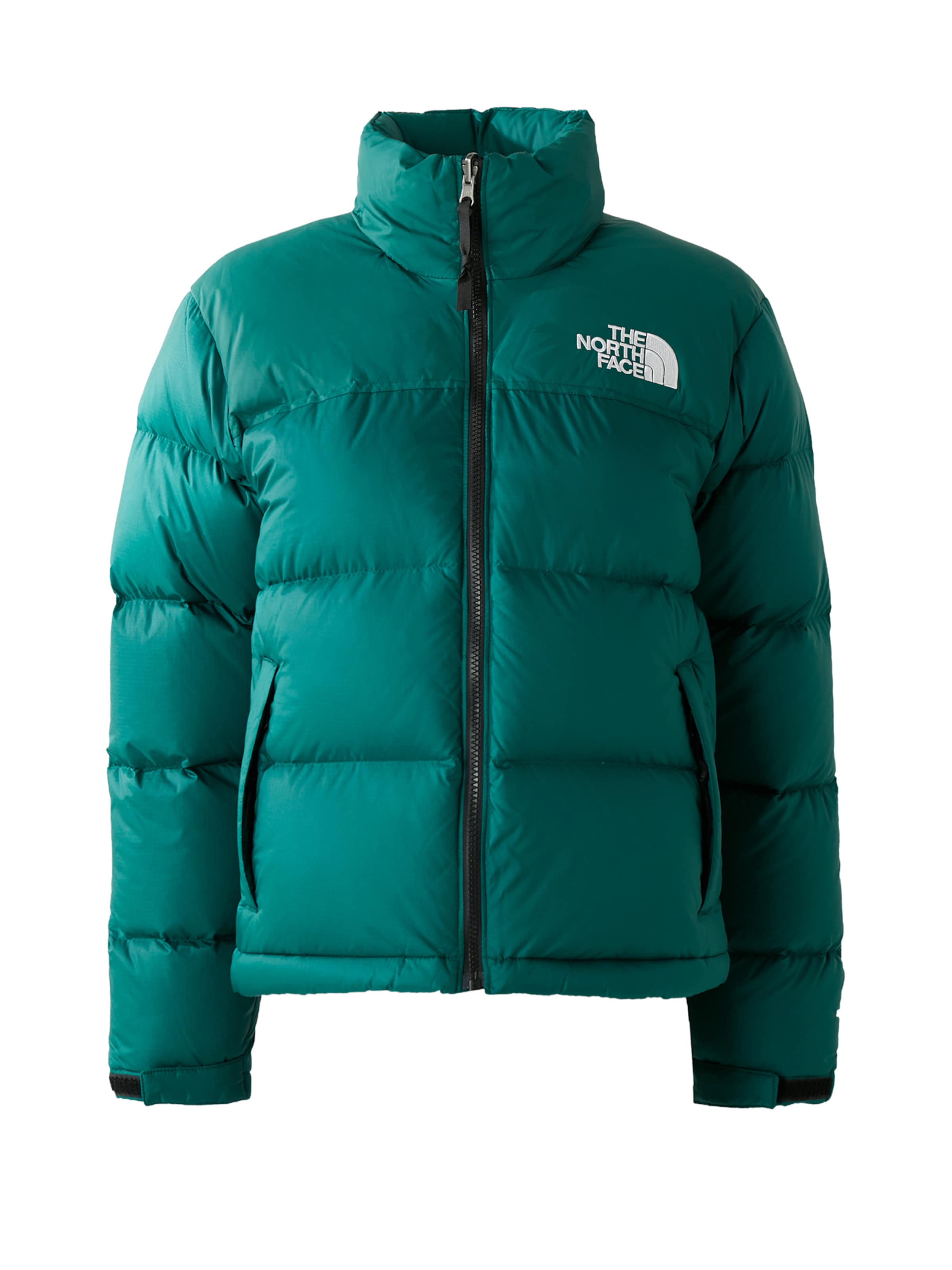 THE NORTH FACE Weatherproof jacket '1996 Retro Nuptse' in Green: front