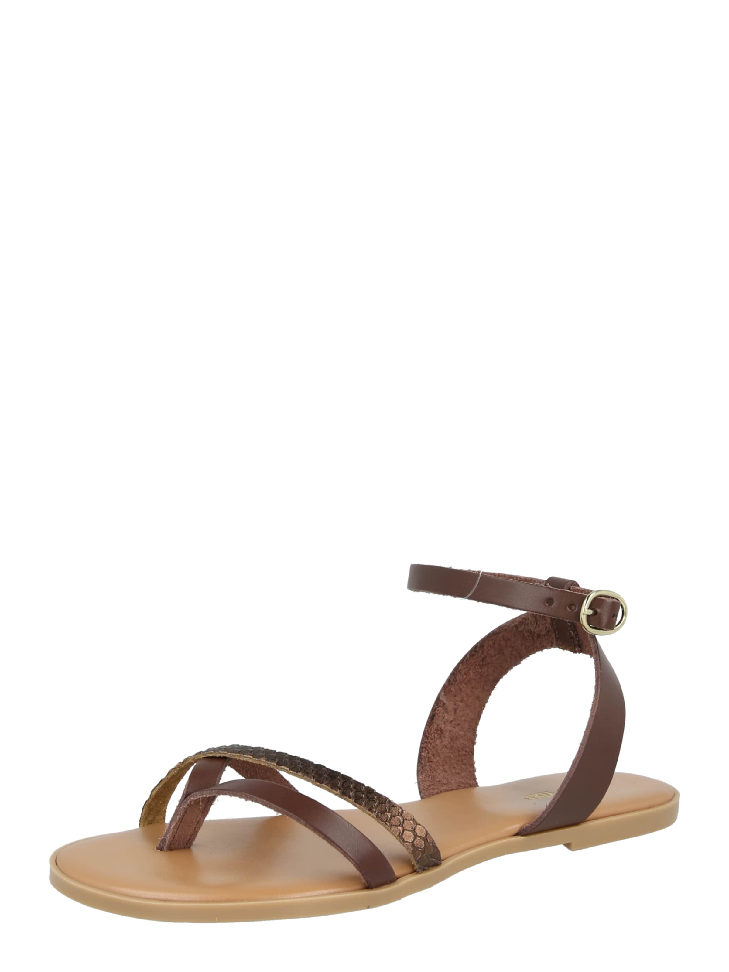 brūns ABOUT YOU Iešļūcenes ar pirkstu atdalītāju 'Alessia': no priekšpuses