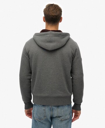 Superdry Trui in Grijs