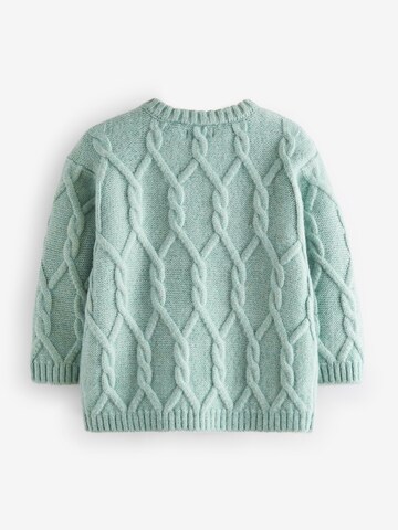 Next Trui in Groen