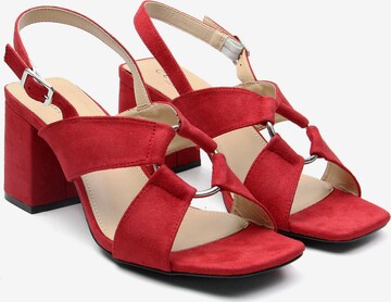 Celena Sandalen met riem 'Christel' in Rood