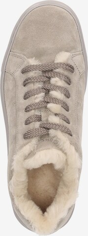 SIOUX Sneaker ' ils' in Grau