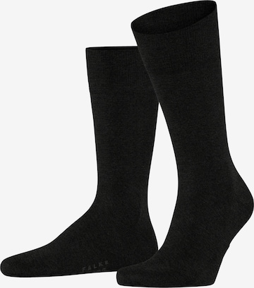 FALKE Socken 'Cool 24/7' in Grau: Vorderseite
