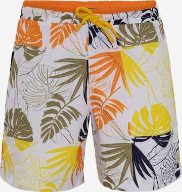 jauktas krāsas Daniel Hills Peldšorti: no priekšpuses