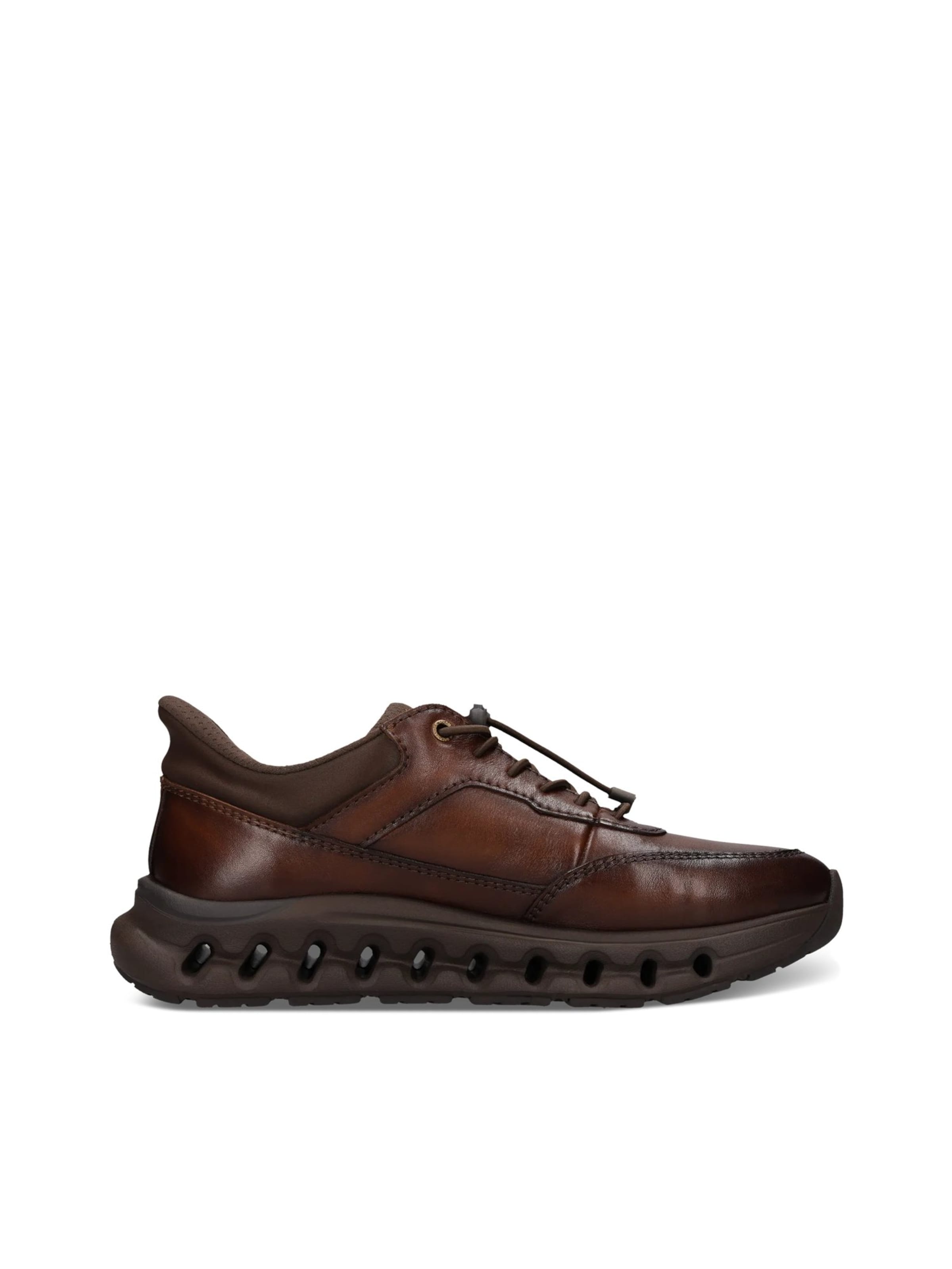 Sneaker bassa di SALAMANDER in marrone