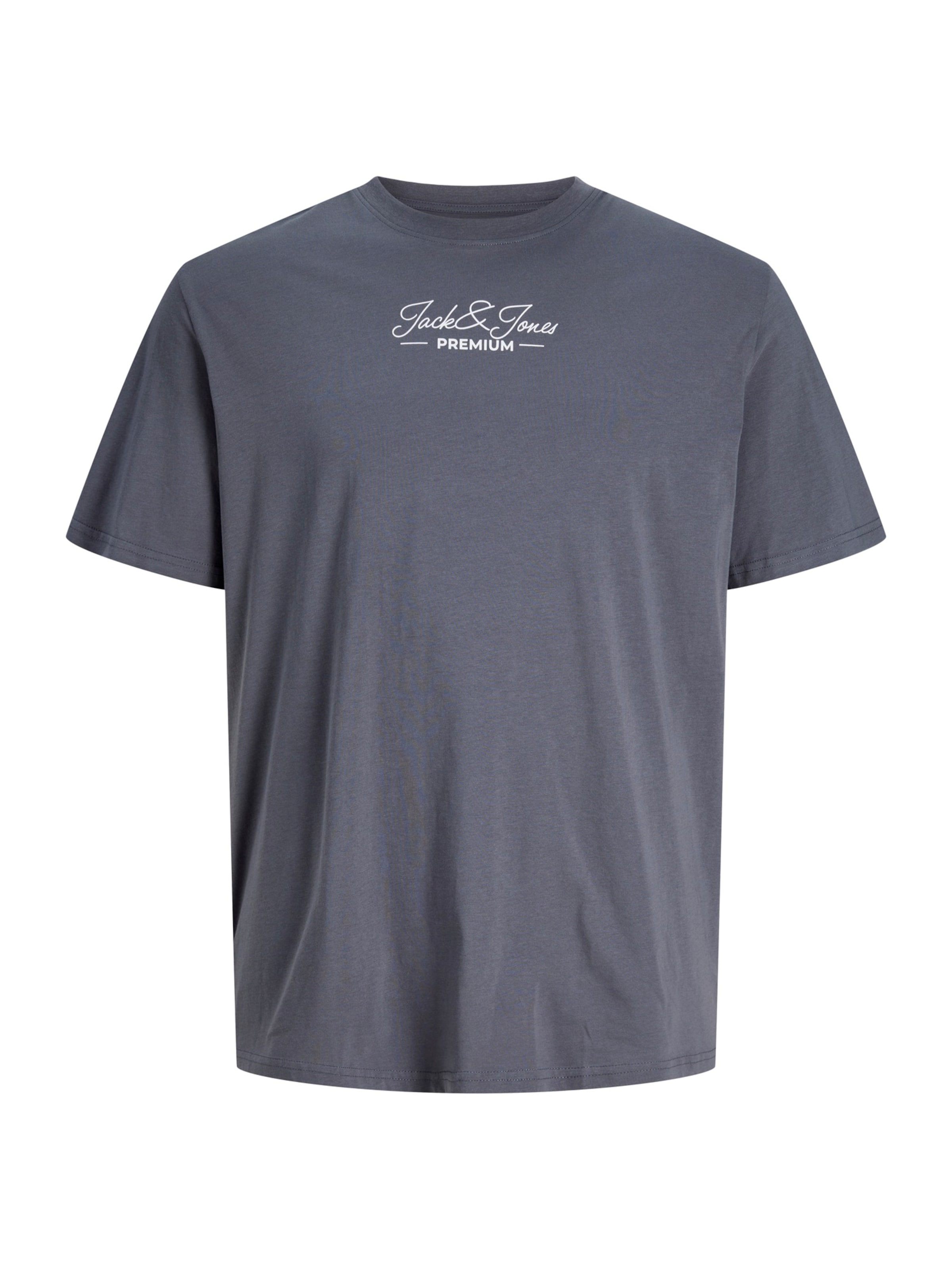 Jack & Jones Plus - Camiseta 'JPRBLALUCAS' en gris: frente