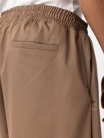 Dandalo Baggy Trousers in Brown