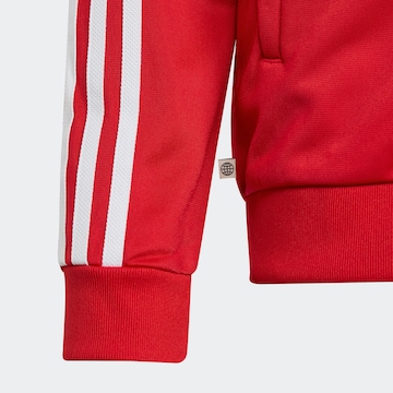ADIDAS ORIGINALS Обычный Демисезонная куртка 'Adicolor Sst' в Красный
