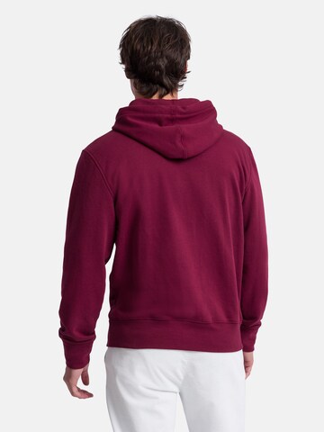 PIERRE CARDIN Sweatshirt in Rot