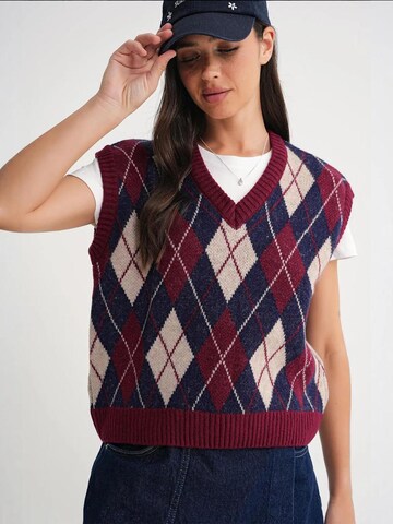 Pullover di MixRay in rosso
