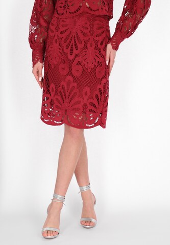 faina Rok in Rood: voorkant