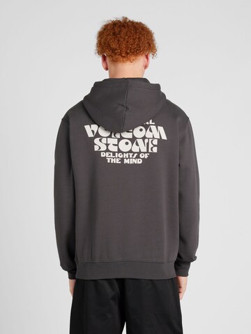 Volcom Sweatshirt 'EARTH TRIPPER' i grå