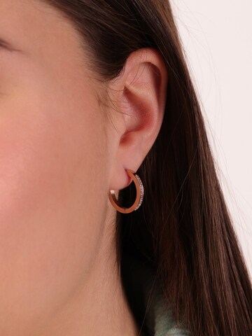 Lucardi Earrings in Gold